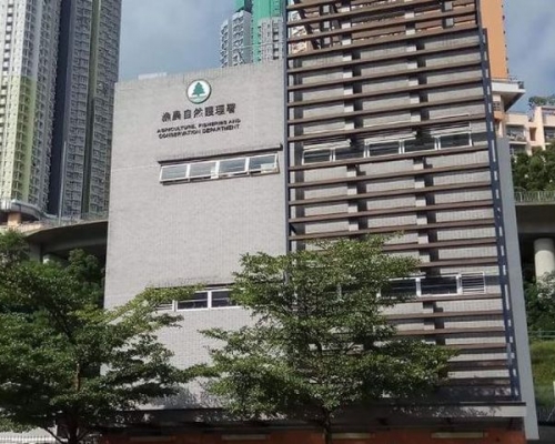漁護署指,有關狗隻目前仍在本署轄下的動物管理中心。網圖