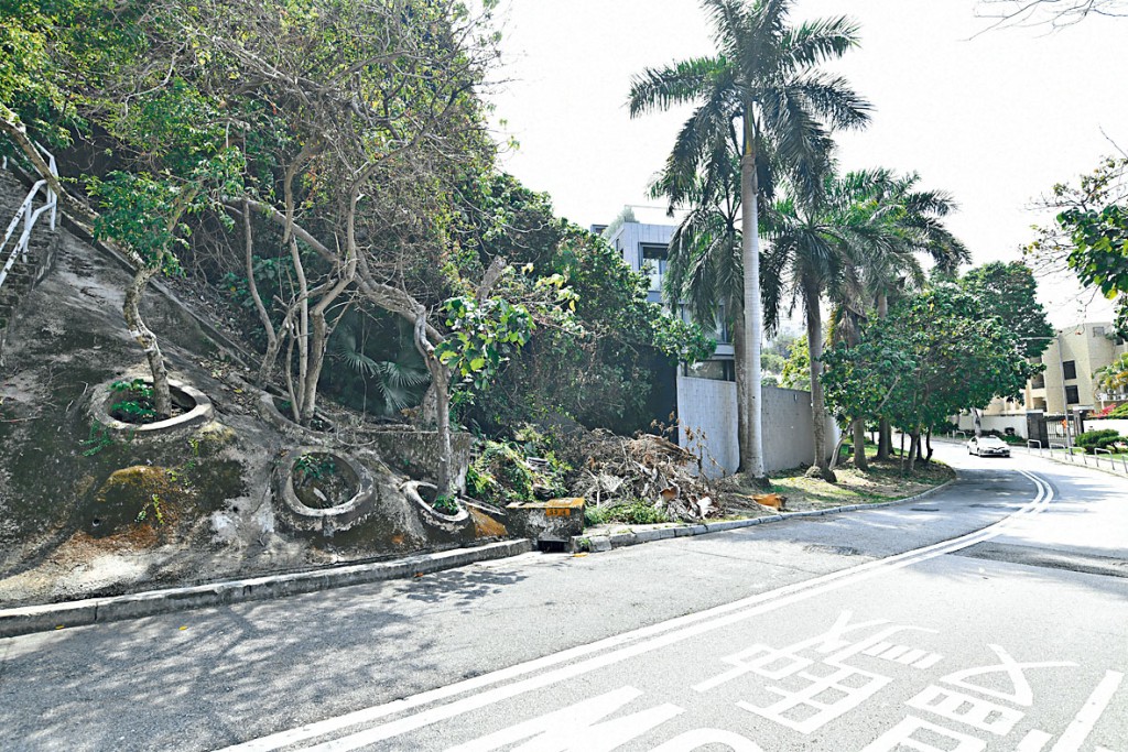 浅水湾住宅地将于周五截标，料掀各财团争逐。