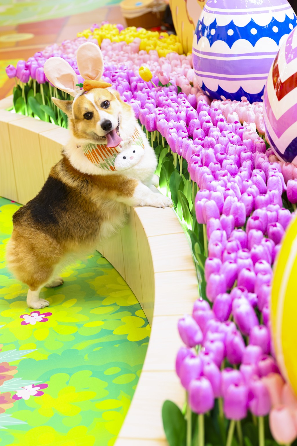 （圖片來源：Mikiki）