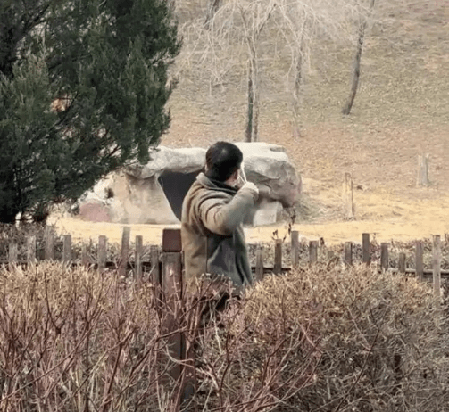 男子拉弓射向老虎。極目新聞