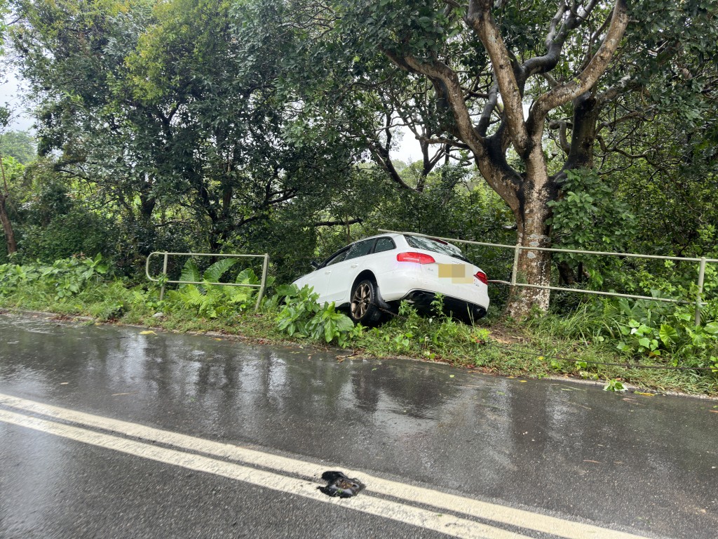 Audi铲落路边草丛。梁国峰摄