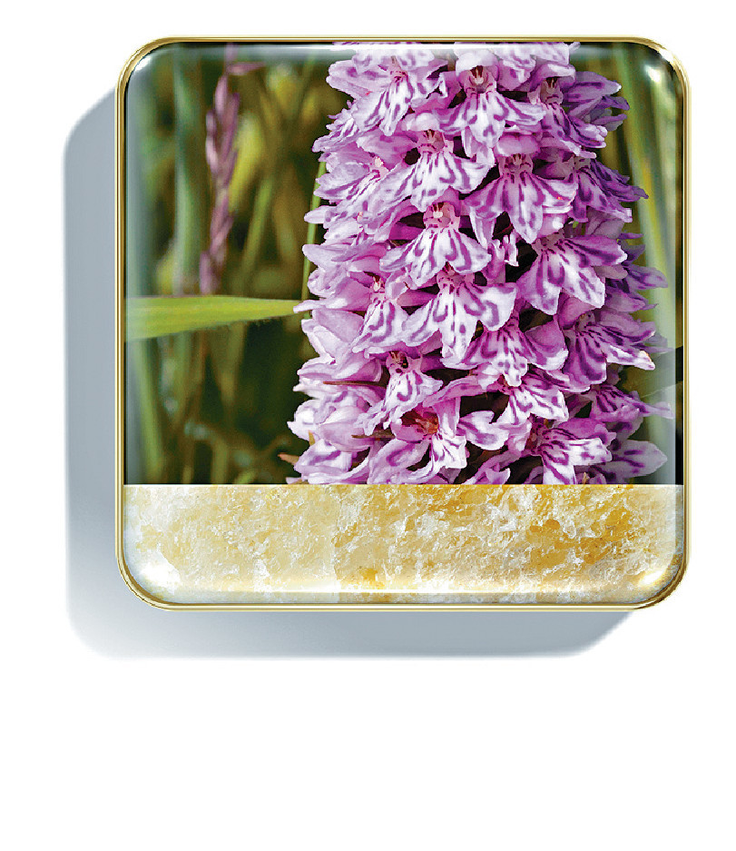 Chantecaille 保育眼影盒 $720