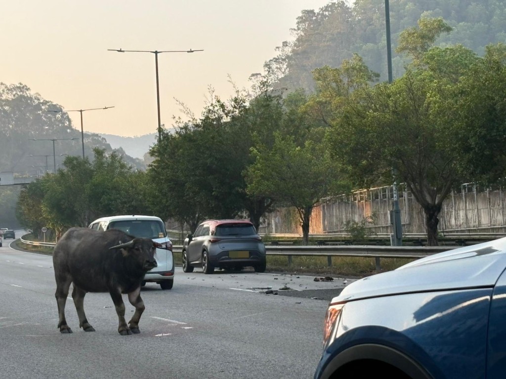 fb馬路的事 (即時交通資訊台)圖片