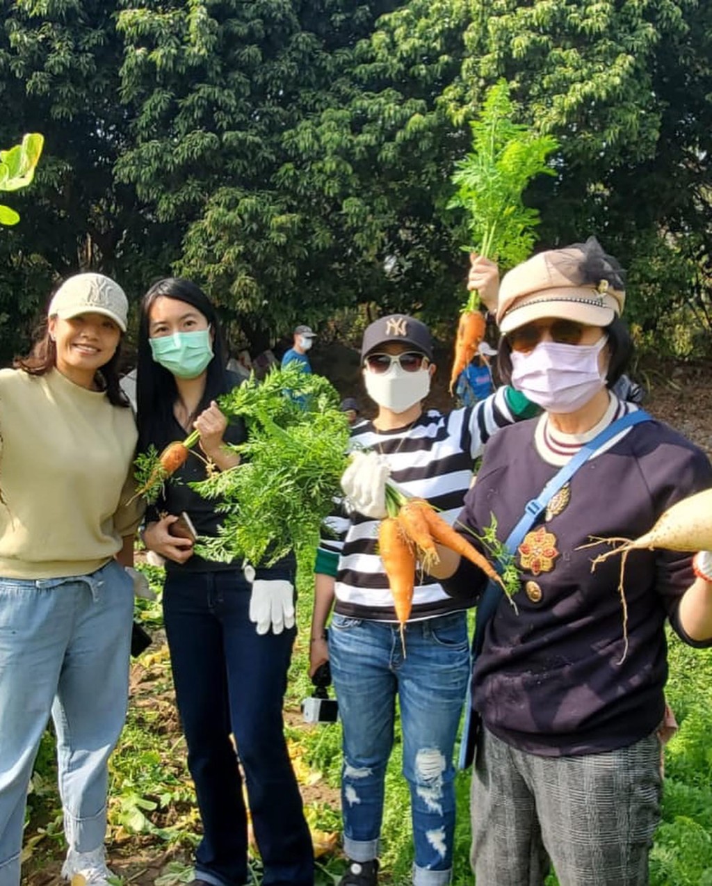 汪明荃親自挑選蘿蔔。​