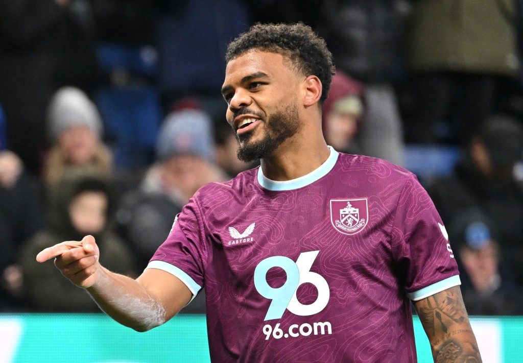 利尼科士打。路透社