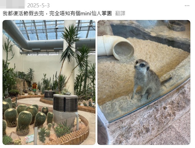 網民:我都復活節假去完,完全唔知(香港公園)有個mini仙人掌園。Threads截圖 網民:我都復活節假去完,完全唔知(香港公園)有個mini仙人掌園。Threads截圖
