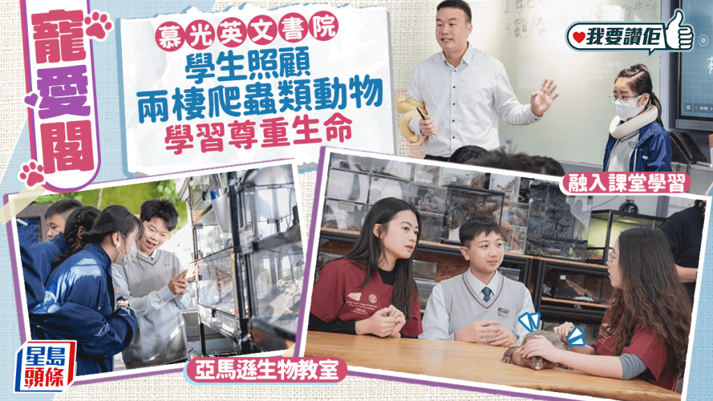 慕光英文書院寵愛閣以亞馬遜生物教室為主題，學生透過照顧動物學習尊重生命。