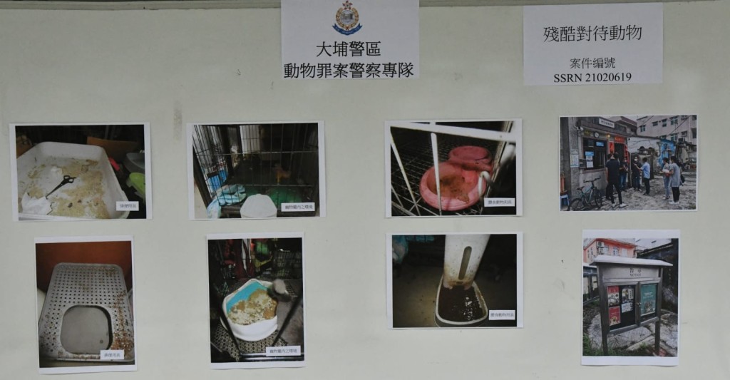 警方展示涉案物品。