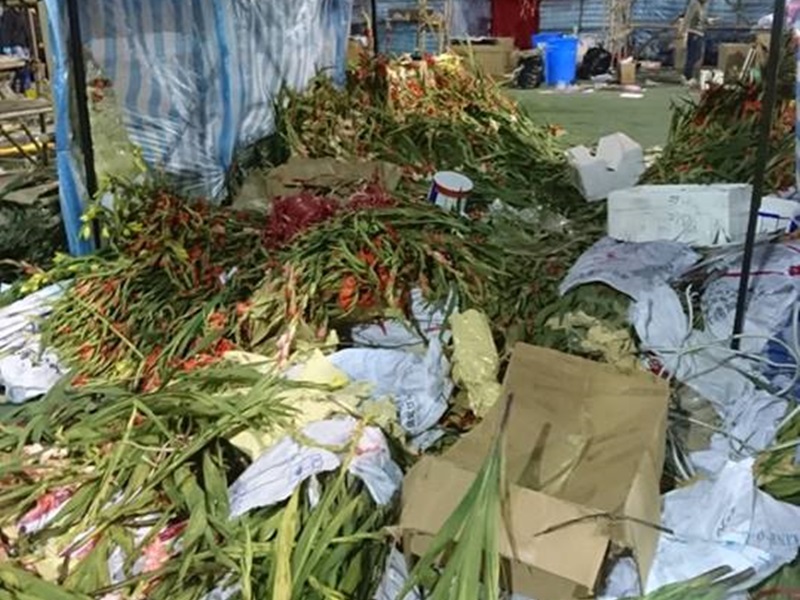年花山。沙田不是垃圾站 Waste No Mall - Shatin圖片