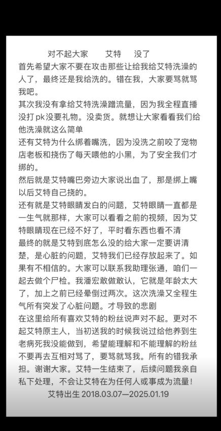 潘宏就「艾特」死亡事件道歉。