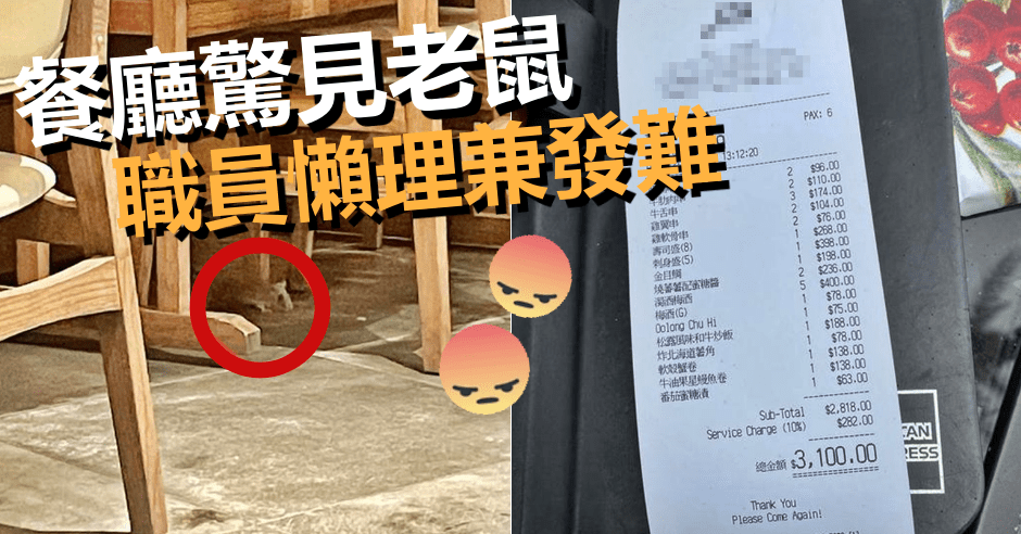 有網民指日前在九龍站圓方一間平台餐廳用餐時,竟驚見有老鼠在店內行走。網圖