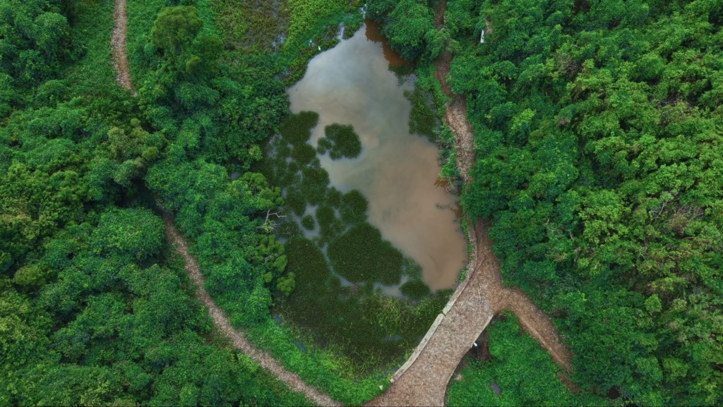 大鴉洲人跡罕至,碼頭幾乎被野草所覆蓋。香港電台提供 大鴉洲人跡罕至,碼頭幾乎被野草所覆蓋。香港電台提供