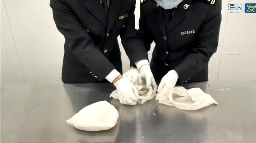 关员在女子背包内一个白色大胶袋中，发现了10个独立的白色布袋。