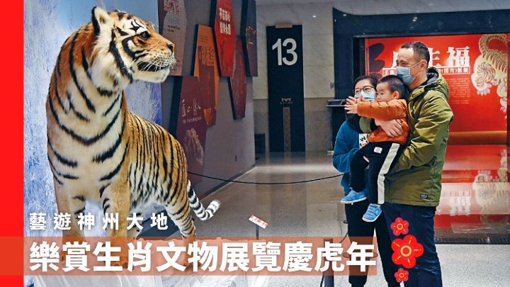 福建博物院的虎年新春生肖展覽教人看得津津有味。（中新社資料圖片）