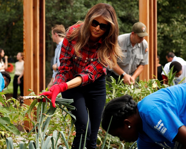 各人又一同收割紅辣椒、秋葵、青椒、芝麻菜。AP