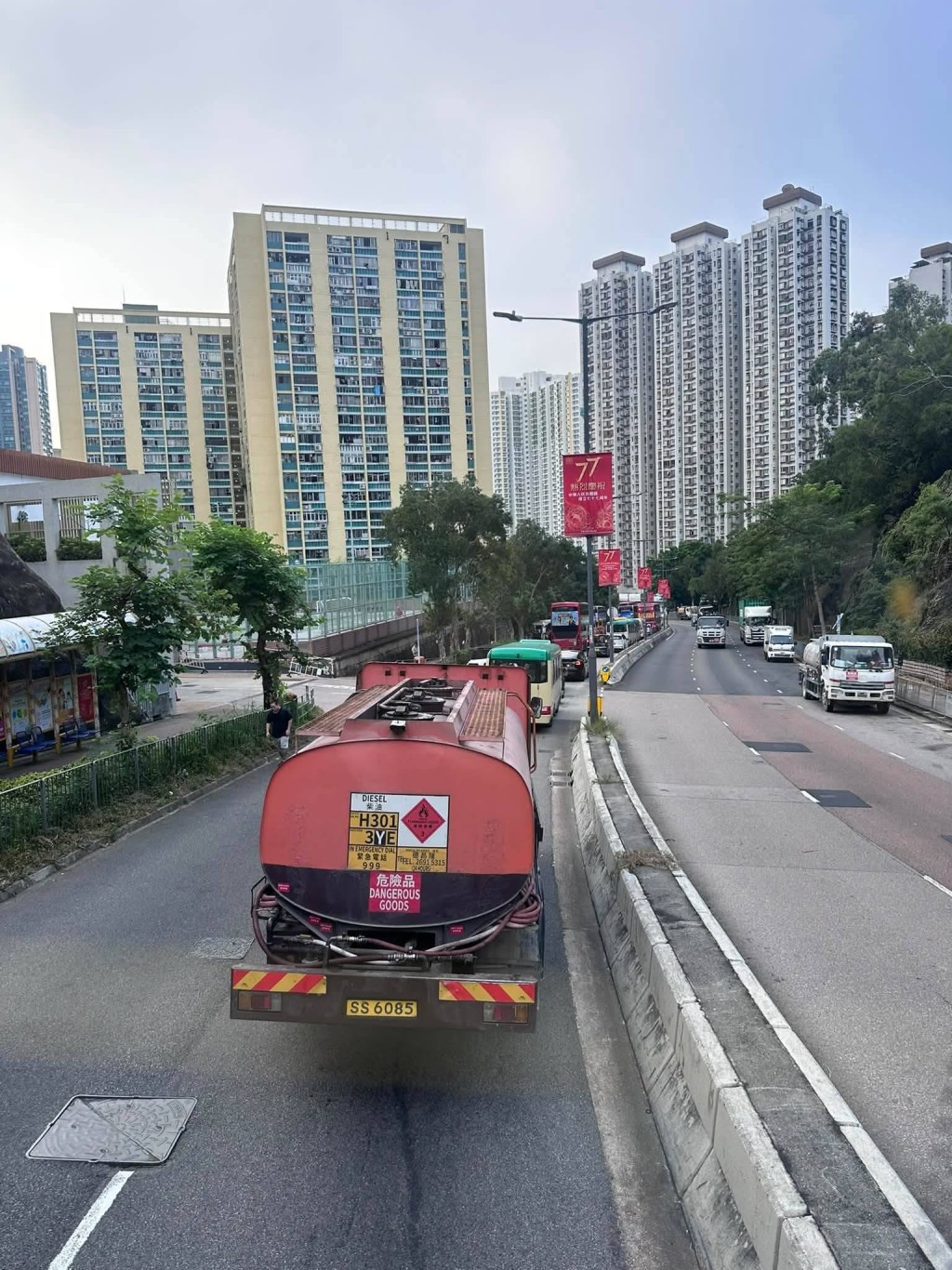 網上圖片 網上圖片