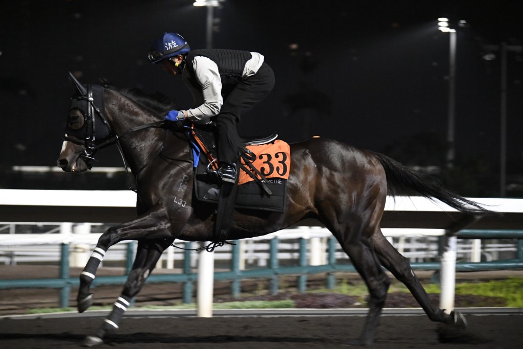 今仗「粵港資駒」表現如何要跑過至知，不過弗開之馬最近再試多課泥閘，動態積極不已；昨朝試跑亦充滿搏殺動靜，游達榮不但跟出跟入，課後更衝落隧道底接馬。