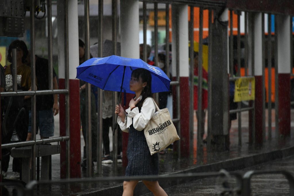 天文台亦于9时30分发特别天气提示，指预料高达每小时90公里或以上的猛烈阵风吹袭香港。何健勇摄