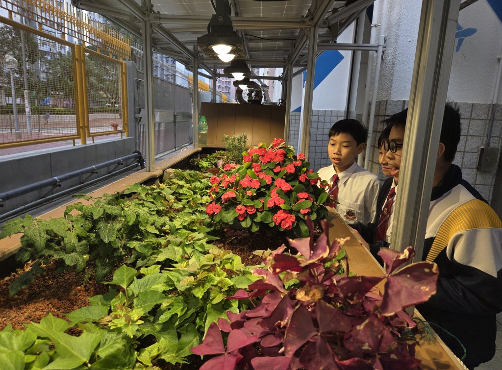 （圖片來源：《親子王》）