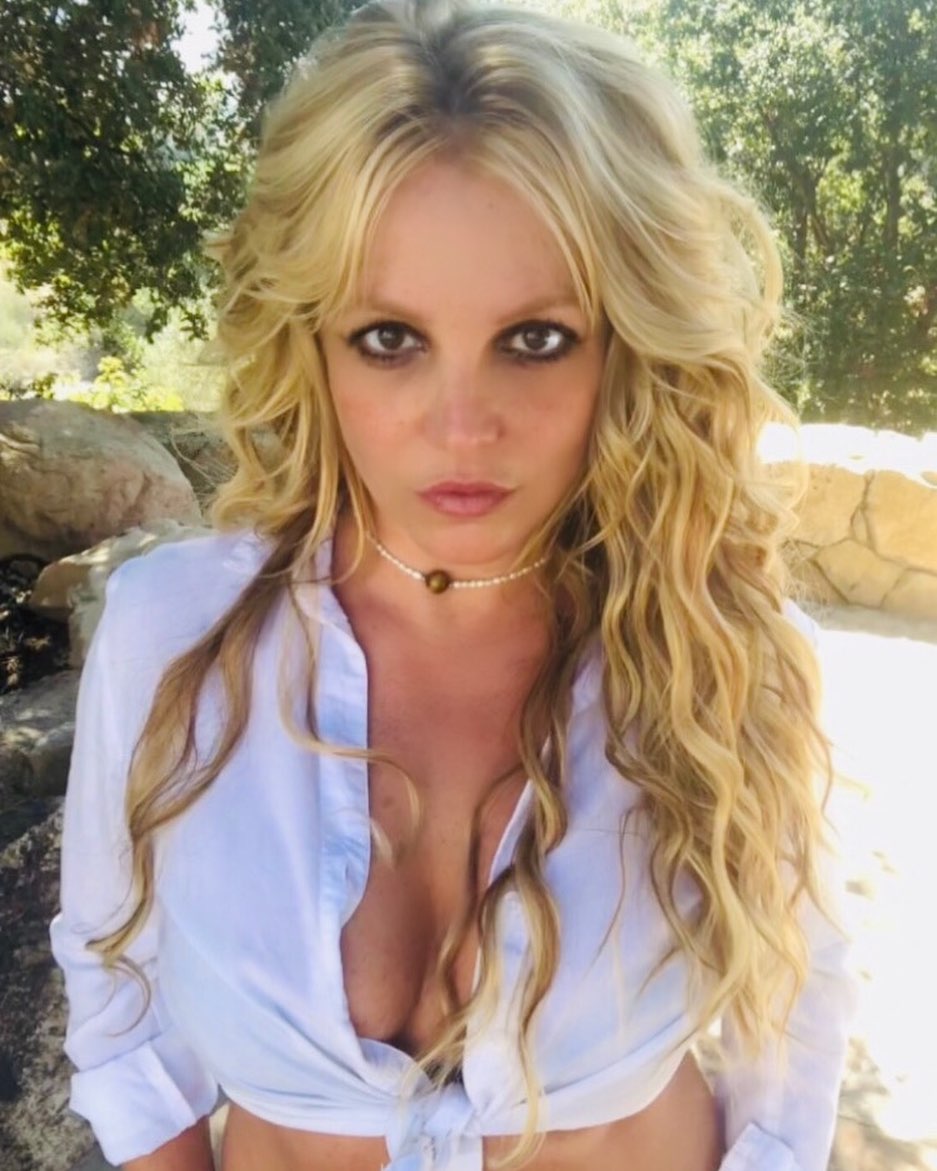 Britney希望解除父親監管,網民發起「Free Britney」行動。
