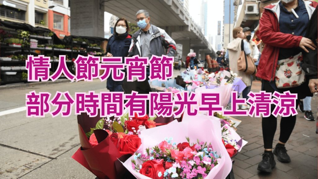 預測情人節早上清涼及有一兩陣雨。日間部分時間有陽光。氣溫下降至14至18度。