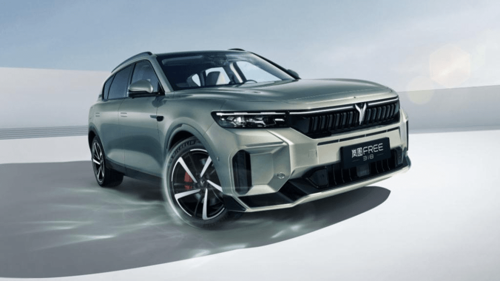 嵐圖汽車擬來港介紹上市 母企東風已私有化 資金獨立性成審批關鍵