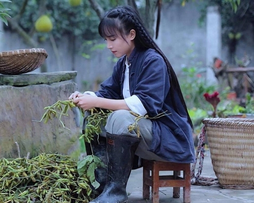 四川古風美食視頻博主李子柒，不僅爆紅內地互聯網，還成功出海在YouTube「吸粉」七百六十六萬。網圖