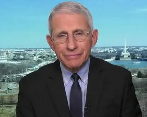 美国国家过敏和传染病研究所主管福西博士日前表示：「人类正处在新冠肺炎疫情大流行的边缘。」(网图)