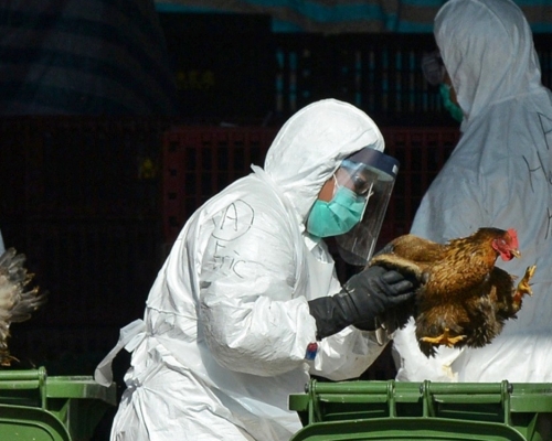 衞生防護中心密切監察，湖南40歲女子感染H5N6禽流感個案。資料圖片