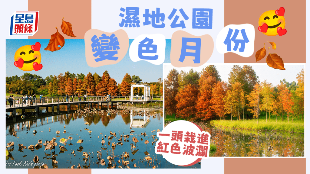 濕地公園如詩似畫。網民Fook Kei Lai相片