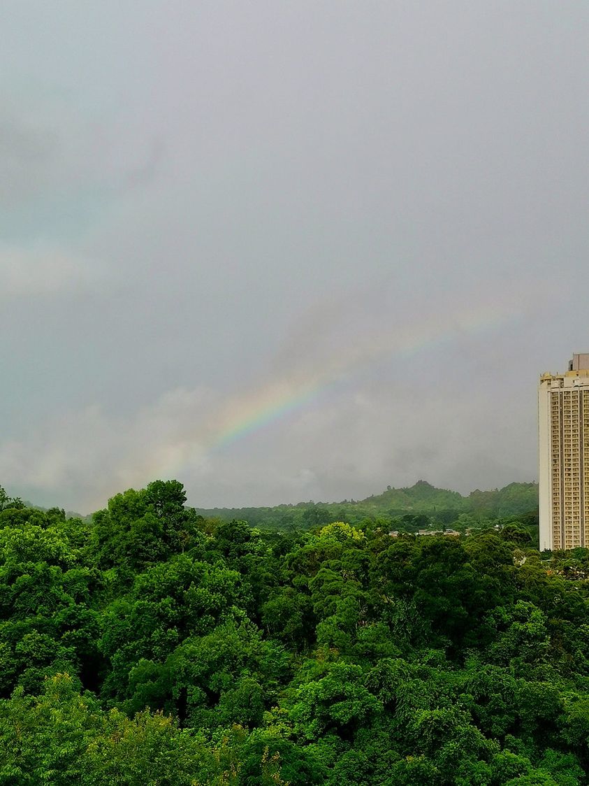 粉嶺今早出現彩虹。fb「社區天氣觀測計劃 CWOS」Dicky Ng圖片