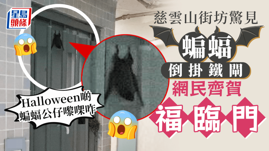 慈雲山一名街坊日前回家時，驚見家門鐵閘外倒掛一隻懷疑蝙蝠。