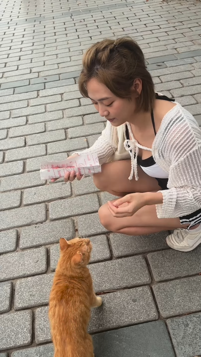 游嘉欣蹲下向前傾餵貓貓時,豐滿上圍呼之欲出極震撼。 游嘉欣蹲下向前傾餵貓貓時,豐滿上圍呼之欲出極震撼。