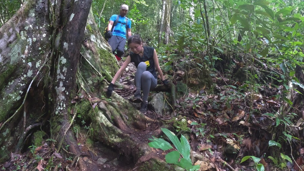 Karen跟奶仔挑戰海拔1200米高的劍峰，似爬山多過行山。