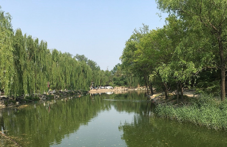 清華大學的荷塘。網圖