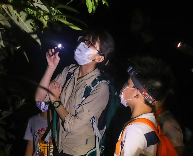 親子生態活動1:森林的不眠夜──親子夜間動物考察遊(圖片來源:小樹林自然教育) 親子生態活動1:森林的不眠夜──親子夜間動物考察遊(圖片來源:小樹林自然教育)
