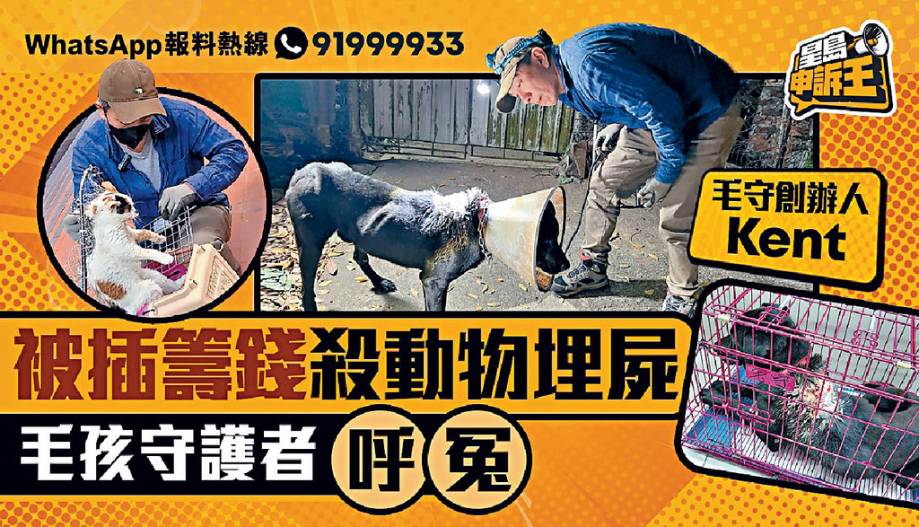 ■今期《星島申訴王》專訪「毛守」創辦人Kent,他表示疫情令經濟下滑,加上可能受負面消息影響,財政狀況十分嚴峻。 ■今期《星島申訴王》專訪「毛守」創辦人Kent,他表示疫情令經濟下滑,加上可能受負面消息影響,財政狀況十分嚴峻。