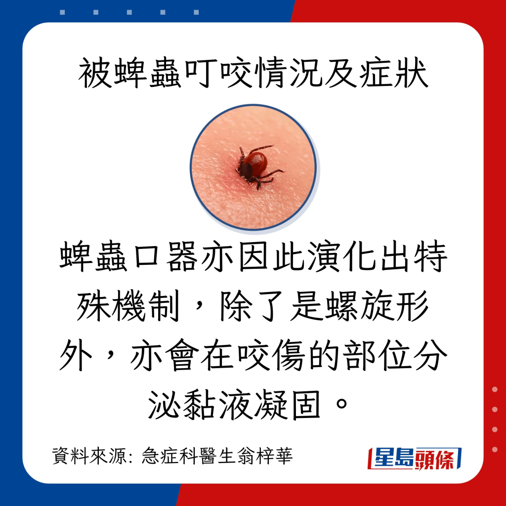 蜱蟲口器亦因此演化出特殊機制，除了是螺旋形外，亦會在咬傷的部位分泌黏液凝固。