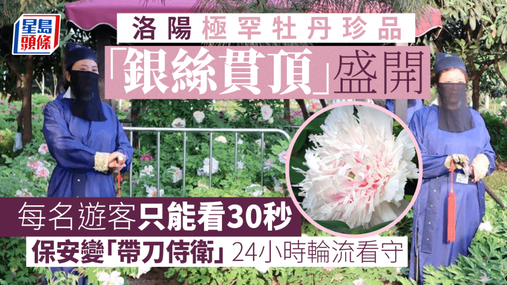 多名打扮成「带刀侍卫」的保安24小时轮流看守。 网图