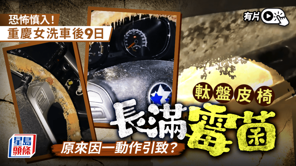 生化危機？︱重慶女洗車後9日  軚盤現3厘米黴菌︱有片