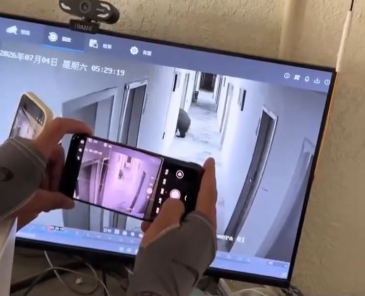 藏馬熊硬闖西藏酒店住客房間，但未傷人。