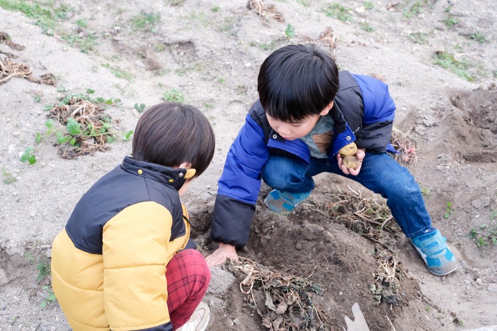 （图片来源：PhotoAC）