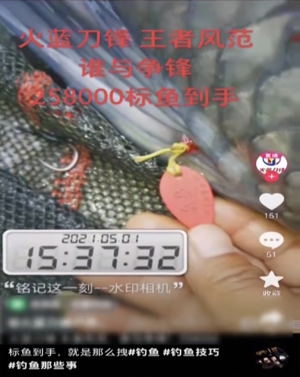 钓标鱼的影片在短视频平台有一定捧场客。