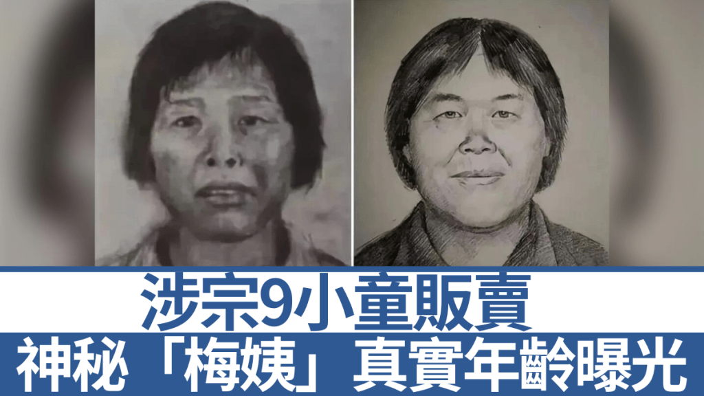 拐子婆「梅姨」案進入審判階段。圖為「梅姨」的模擬畫像