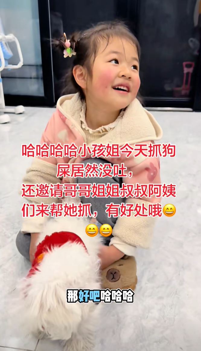 可可成功爭取養寵物狗。抖音