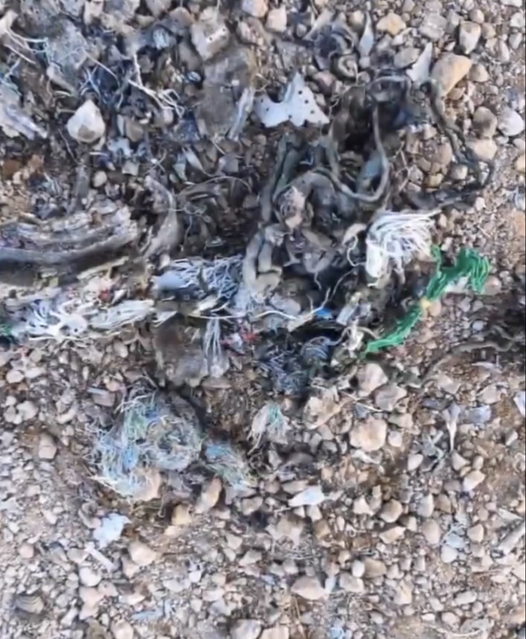 伊朗革命衛隊聲稱擊落第2架美軍「F-35」。 X@Currentreport1 伊朗革命衛隊聲稱擊落第2架美軍「F-35」。 X@Currentreport1