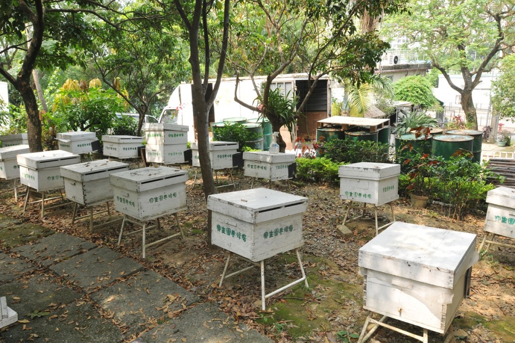 寶生園養蜂場。資料圖片