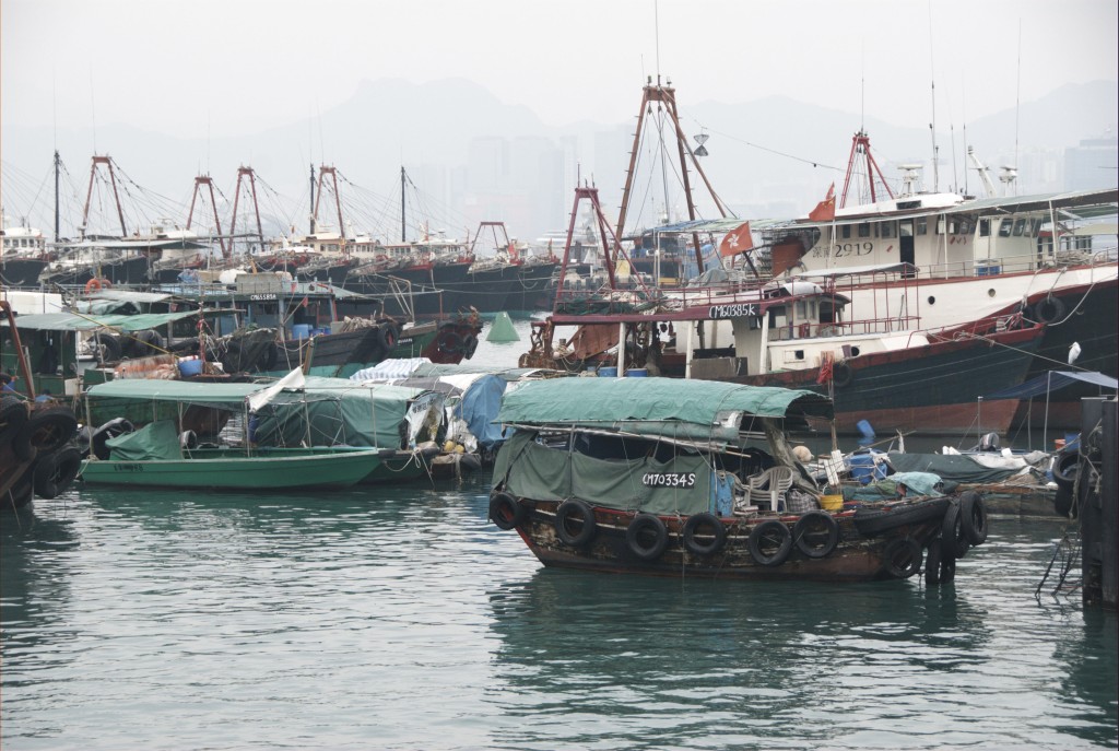 現時香港約有二千多艘持「兩地牌」的漁船，惟疫情下逾九成漁船未能啟航。