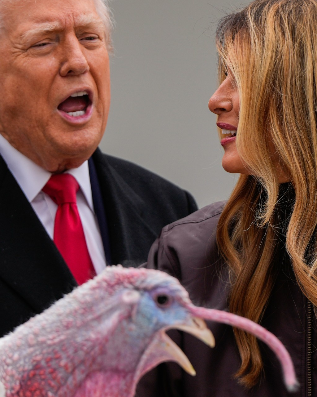 特朗普亦不忘嘲諷民主黨重量級人物，表示本想將兩隻火雞命名為參議院民主黨領袖舒默與前眾議院議長佩洛西，但「永遠不會特赦這兩個人」。美聯社