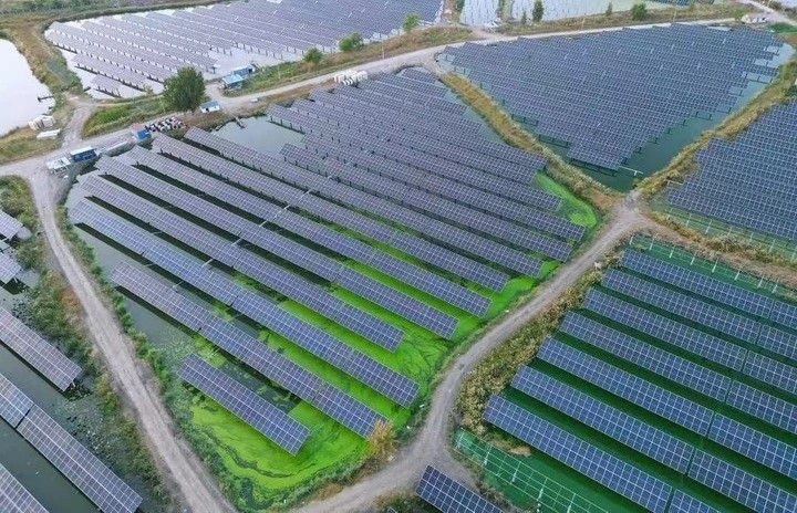 中國近年大力推動使用各種綠色能源。新華社
